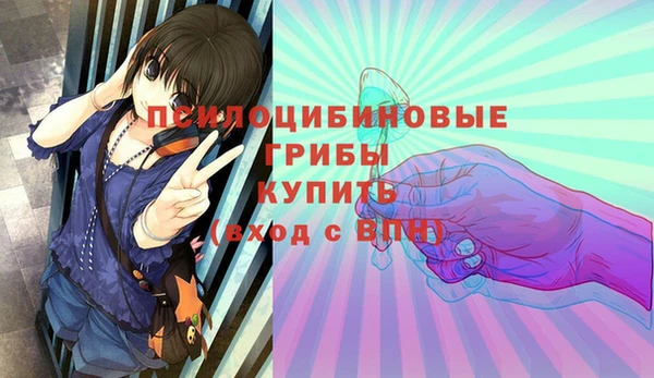 ГАЛЛЮЦИНОГЕННЫЕ ГРИБЫ Абаза