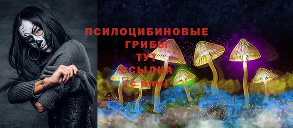 ГАЛЛЮЦИНОГЕННЫЕ ГРИБЫ Абаза