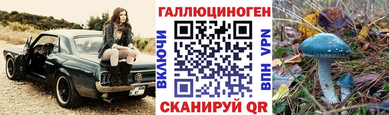 Псилоцибиновые грибы ЛСД как найти наркотики Ужур